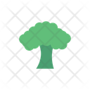 Oak Salad Leaf Icon