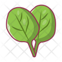 Oak Salad Leaf Icon