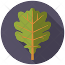 Oak Tree Nature Icon