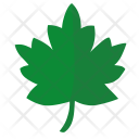 Oak Tree Sign Icon