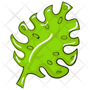 Oak Leaf Botany Nature Icon