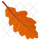 Oak Leaf Leaf Autumn Leaf Icon