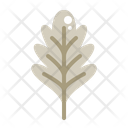 Oak Leaf Plant Icon