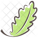 Oak Leaf Leaf Green Icon