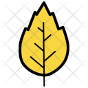 Oak Birch Nature Icon