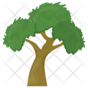Oak Tree Icon