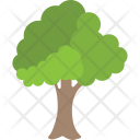 Round Tree Forest Icon