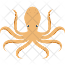 Octopus Icon