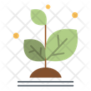 Office Plant Icon