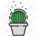 Old lady cactus Icon