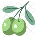 Oil Olive Natural Icon