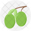Olive Fruit Petitefruit Icon