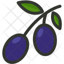 Olives Olive Fruit Icon