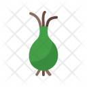 Vegetable Plant Onion Icon