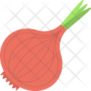 Onion Spice Vegetable Icon