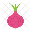 Onion Bulb Common Icon