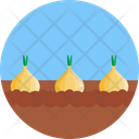 Onion Farm Icon