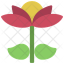 Open Flower Icon