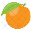 Orange Diet Organic Icon