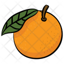 Orange Fruit Citrus Icon