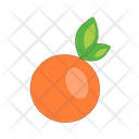 Orange Icon