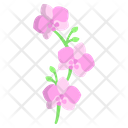 Orchid Flower Blossom Icon