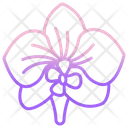 Orchid Icon