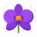 Orchid Flower Nature Icon