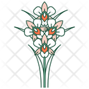 Orchid Flower Flower Orchid Icon
