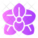 Orchid Flower Icon