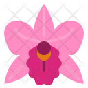 Orchid Flower Perfume Icon