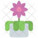 Orchids Flower Icon