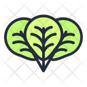 Oregano Vegetable Healthy Icon