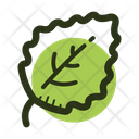 Oregano Leaf Icon