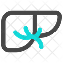 Organ Icon