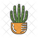 Organ Pipe Cactus In Pot Icon
