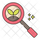 Organic Search Icon