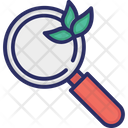 Search Organic Search Magnifying Glass Icon