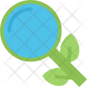 Organic  Icon