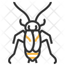 Oriental Cockroach Insect Icon