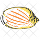 Ornate Butterfly Fish  Icon