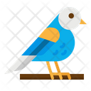 Ornithology Icon