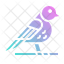 Ornithology Icon