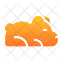Oso Icono