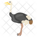 Ostrich Flightless Bird Giant Icon