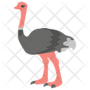 Ostrich Beak Animal Bird Icon
