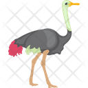 Animal Feather Creature Flightless Bird Icon