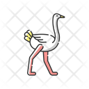 Ostrich Animal Wildlife Icon