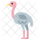 Ostrich Animal Wild Icon