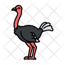 Ostrich Icon